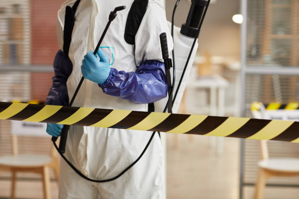 Professional Sewage Cleanup technician working in Broadway, OH